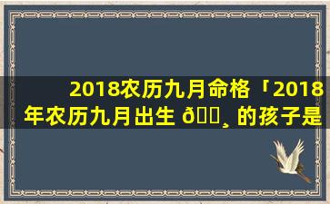 2018农历九月命格「2018年农历九月出生 🕸 的孩子是 🐼 什么命」
